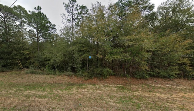 Listing photo 2 for 415 Trout Dr, Defuniak Springs FL 32433