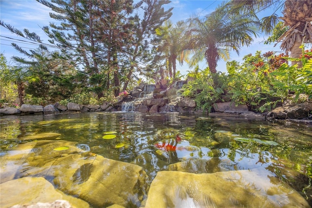 exterior space featuring a small pond