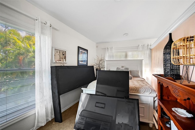 view of carpeted bedroom