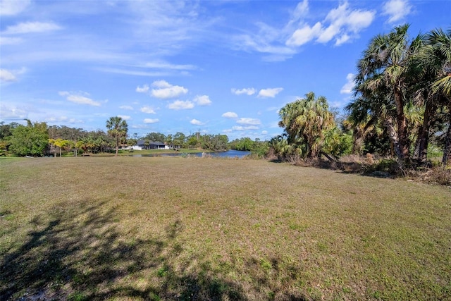 view of yard featuring a water view