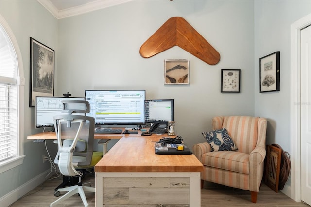 office featuring ornamental molding and light hardwood / wood-style floors