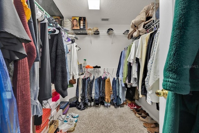 walk in closet featuring carpet floors