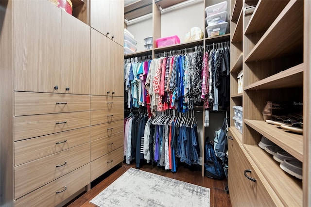 walk in closet featuring dark wood-type flooring