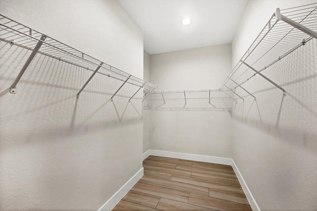 spacious closet featuring wood finished floors