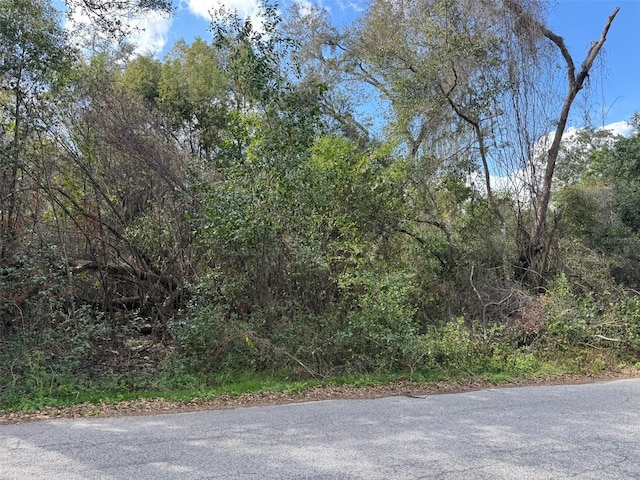 Listing photo 3 for LOT76 Idle A While Cir, Dade City FL 33523