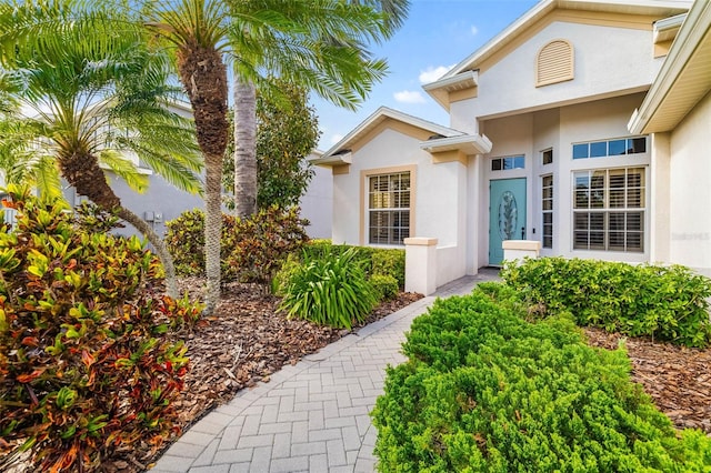 view of exterior entry with stucco siding