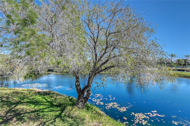 water view