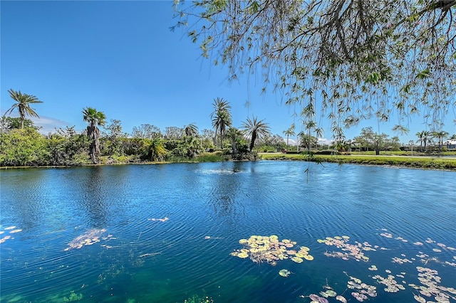 view of water feature