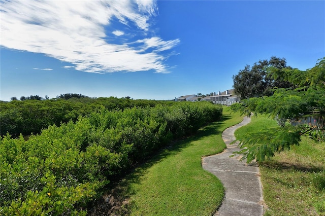 view of home's community with a lawn