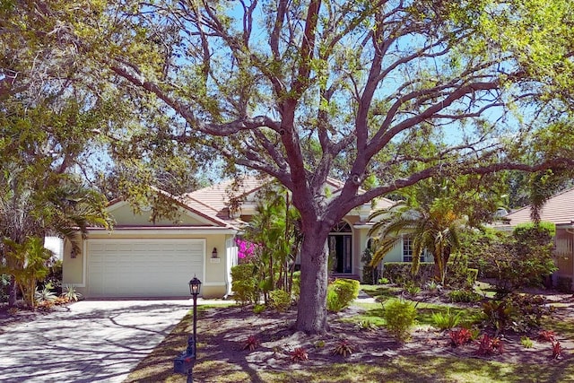 view of property hidden behind natural elements featuring stucco siding, driveway, and an attached garage