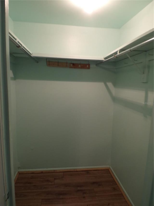 walk in closet with dark hardwood / wood-style flooring