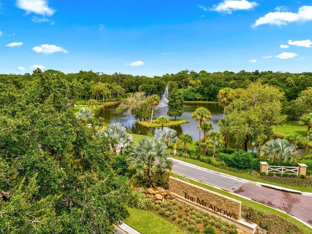 birds eye view of property with a water view and a view of trees