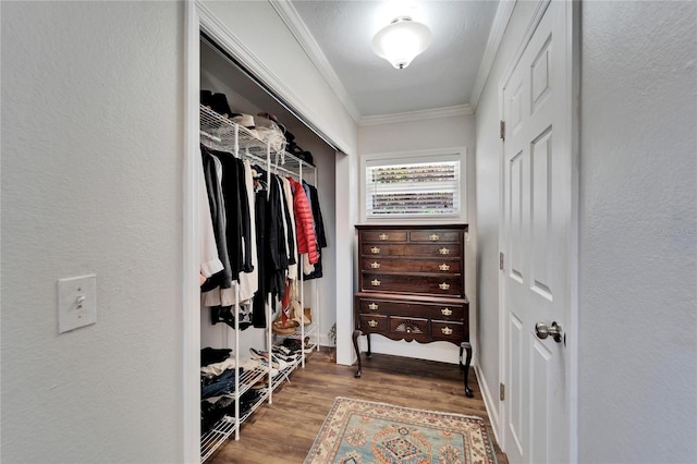 spacious closet with wood finished floors