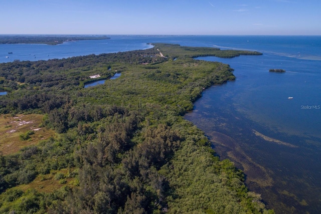 1528 43rd Avenue Dr W, Palmetto, FL 34221 - drone / aerial view with a water view and a view of trees