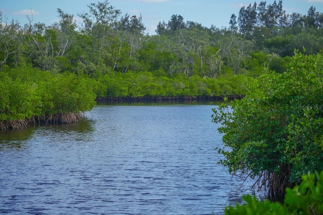 1528 43rd Avenue Dr W, Palmetto, FL 34221 - property view of water featuring a view of trees