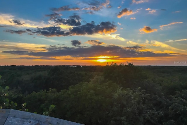 1528 43rd Avenue Dr W, Palmetto, FL 34221 - property view of mountains with a wooded view