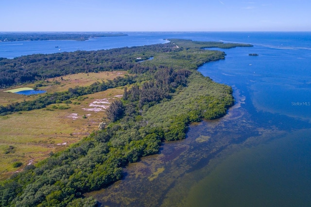 1528 43rd Avenue Dr W, Palmetto, FL 34221 - aerial view with a water view and a view of trees