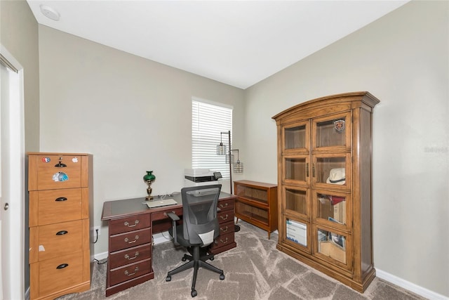 home office with carpet floors