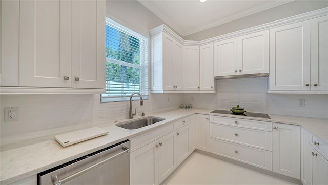 kitchen with black electric stovetop, a sink, white cabinetry, stainless steel dishwasher, and decorative backsplash