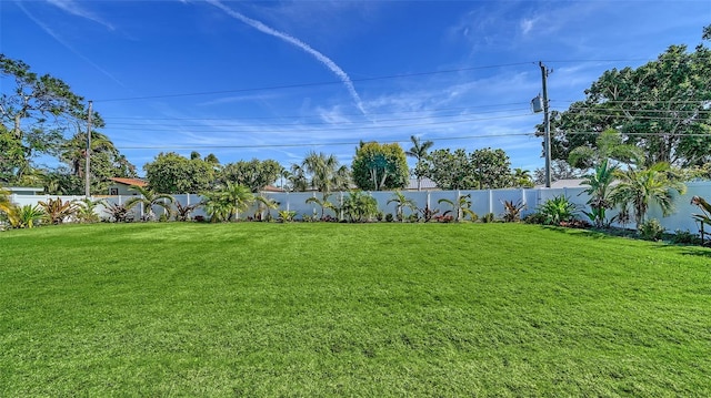 view of yard with a fenced backyard