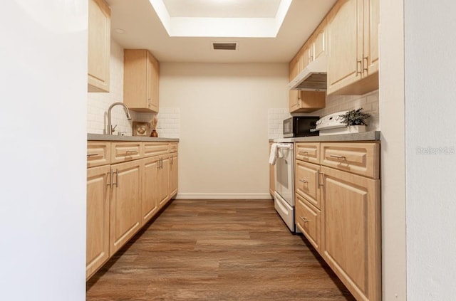 kitchen with a tray ceiling, backsplash, light brown cabinets, and dark hardwood / wood-style flooring