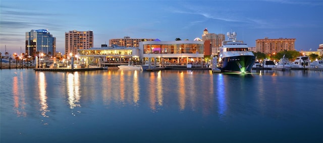 view of water feature with a view of city