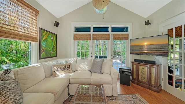 living room featuring vaulted ceiling and wood finished floors
