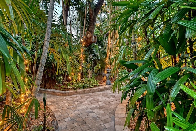view of community featuring a patio
