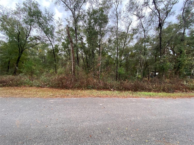 TBD Boundary St, Bronson FL, 32621 land for sale