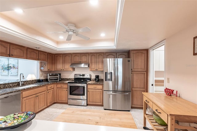 kitchen featuring stainless steel appliances, a tray ceiling, a sink, and under cabinet range hood