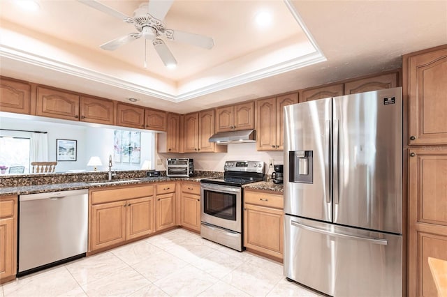 kitchen with a sink, stainless steel appliances, a raised ceiling, and under cabinet range hood