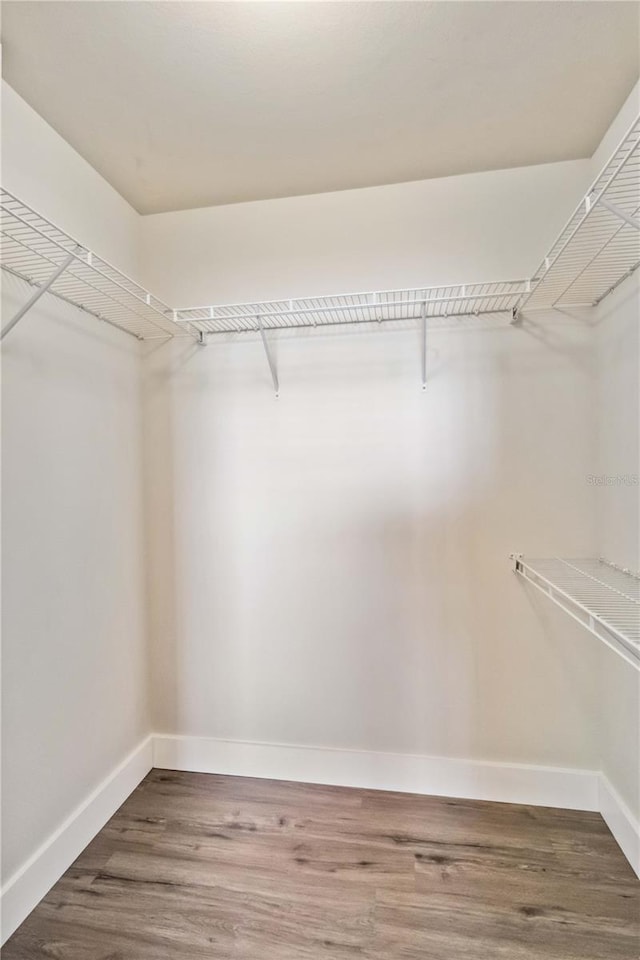 spacious closet with wood finished floors