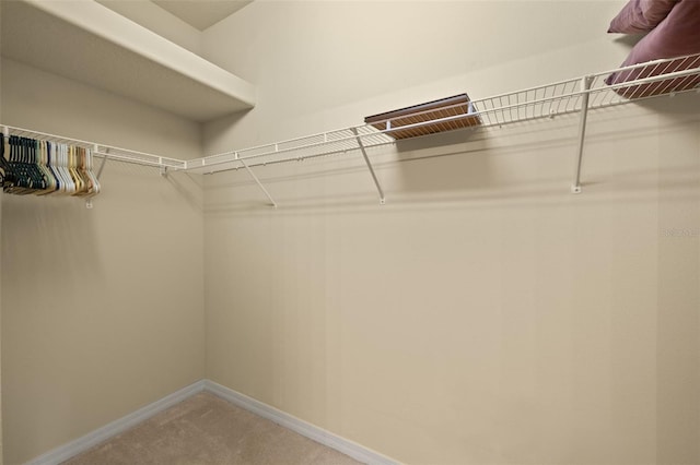 walk in closet with carpet