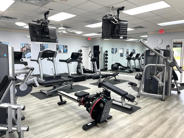 exercise room featuring visible vents, a paneled ceiling, light wood-style flooring, and a ceiling fan