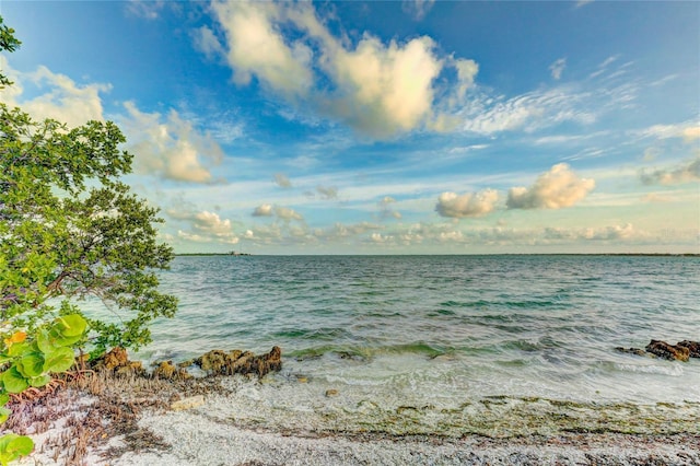 526 Bird Key Dr, Sarasota, FL 34236 - water view