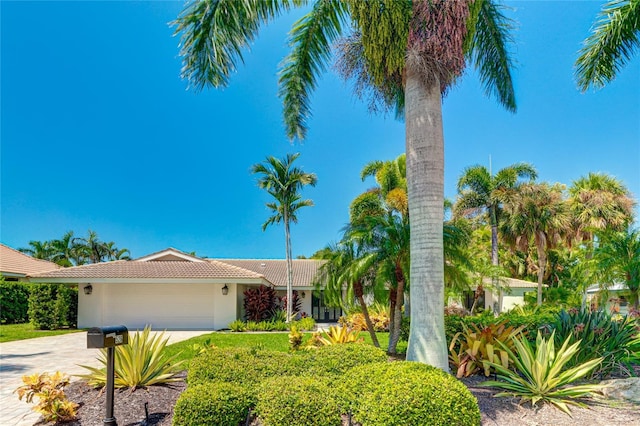 526 Bird Key Dr, Sarasota, FL 34236 - view of front facade featuring stucco siding, an attached garage, a tile roof, and driveway