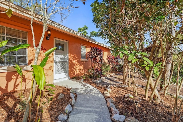 doorway to property featuring stucco siding