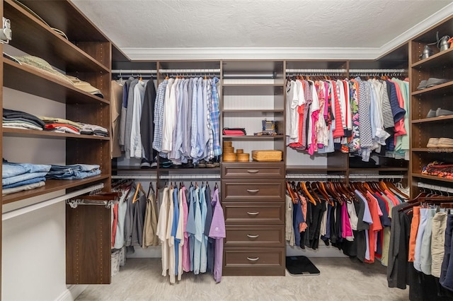 view of spacious closet