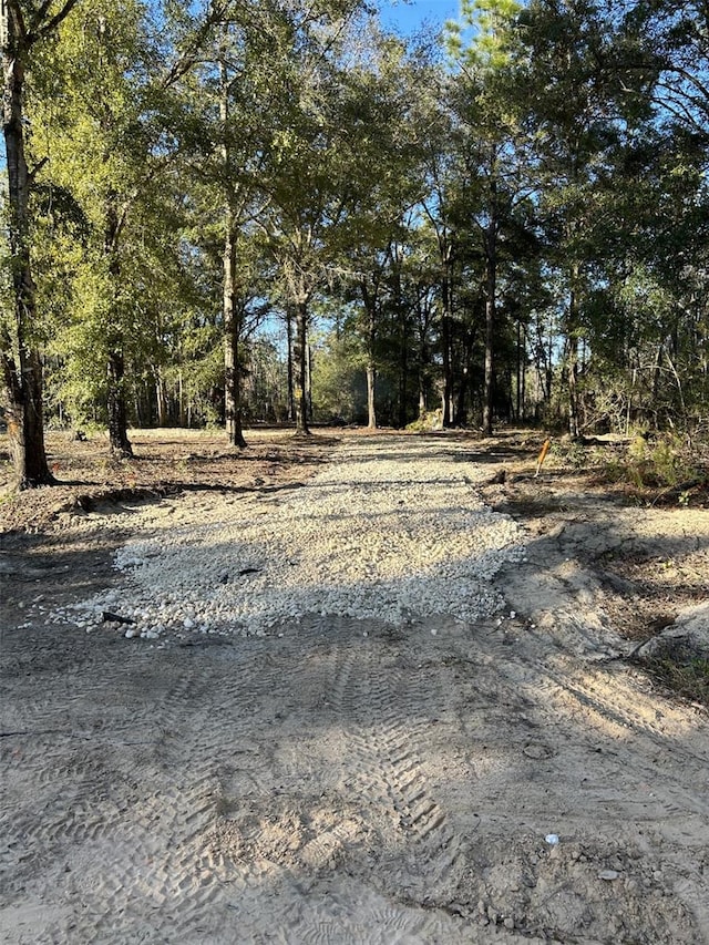 E Washington, Hawthorne FL, 32640 land for sale