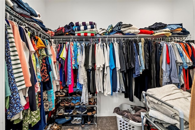 walk in closet featuring carpet