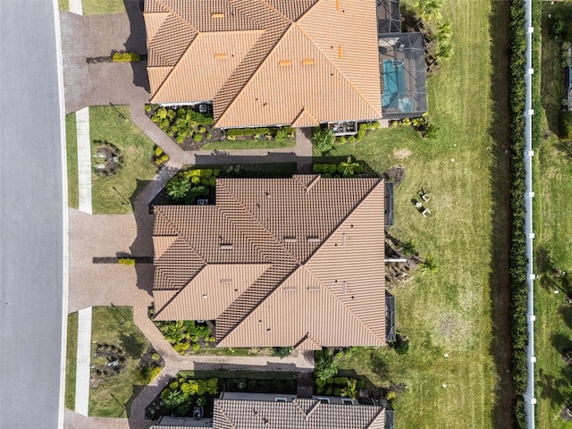 bird's eye view
