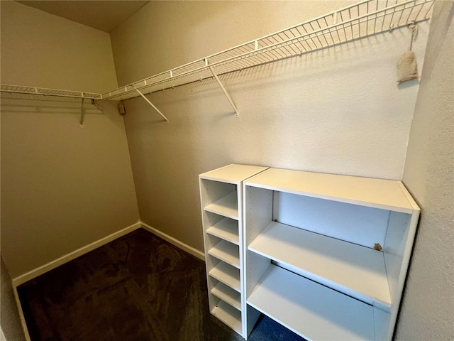 503 Philodendron, Punta Gorda, FL 33955 - walk in closet with dark carpet