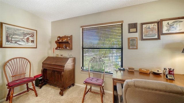 office space featuring light carpet, a textured ceiling, and baseboards