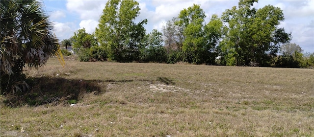 2004 NW 6th Pl, Cape Coral FL, 33993 land for sale