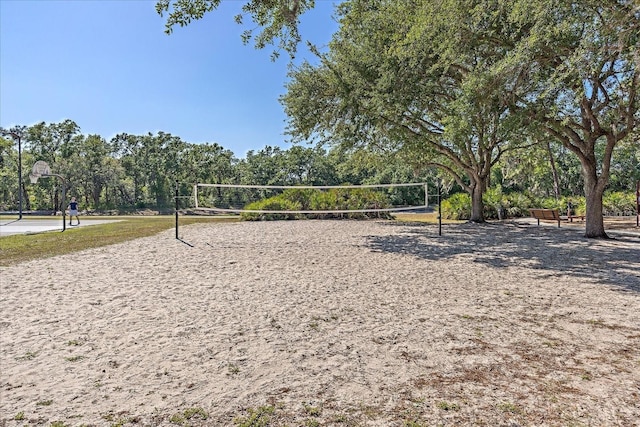 surrounding community featuring volleyball court and basketball hoop