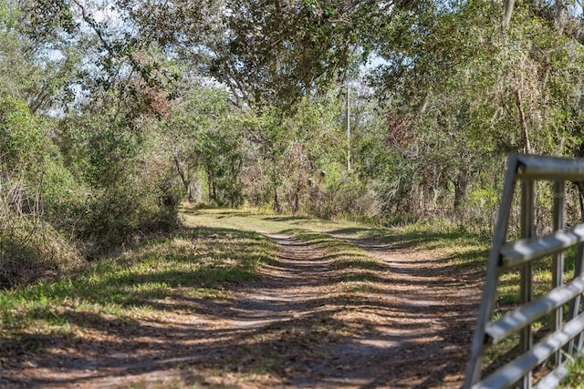 view of road