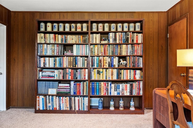 interior details featuring carpet floors and wood walls