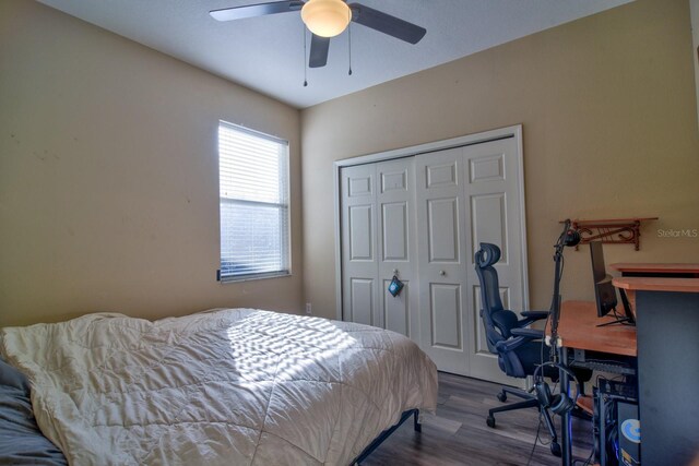 bedroom with ceiling fan, a closet, and wood finished floors