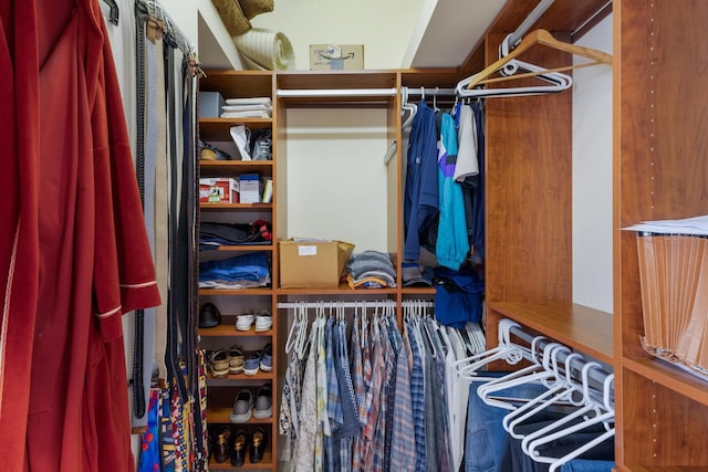 view of spacious closet