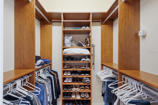 view of spacious closet